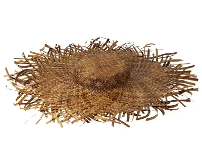 balinese straw wicker hat bamboo woven wall decoration boho  3D model