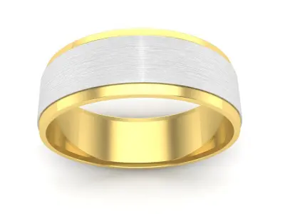 AV 547 Two Tone Satin Finished Wedding Band 3D print model