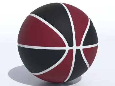 Wilson Miami Heat Basketball  3D model