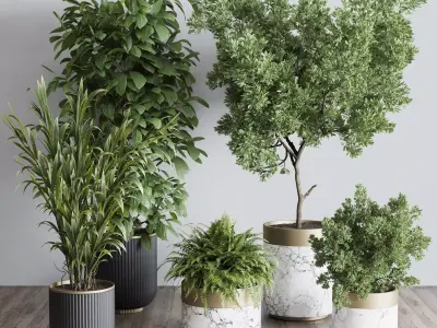 Indoor plant set 363 stone vase plant tree shrub  Low-poly 3D model