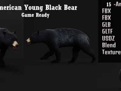 American Black Bear Low-poly 3D model