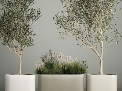 Decorative trees in concrete pots with bushes 3D model