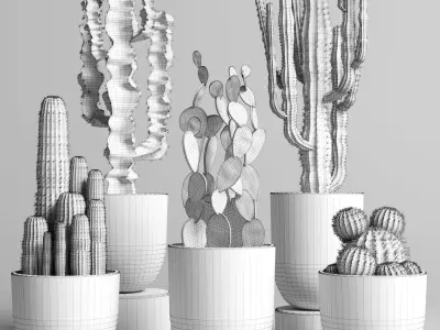 collection indoor plant 62 concrete vase cactus pot 3D model