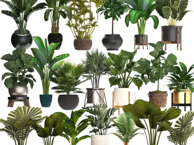 Collection of potted plants for the interior of 20 pieces NEW 3D model