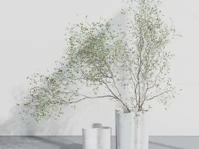 A collection of green and dried plants in different pots