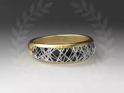 Nest Ring 3D print model