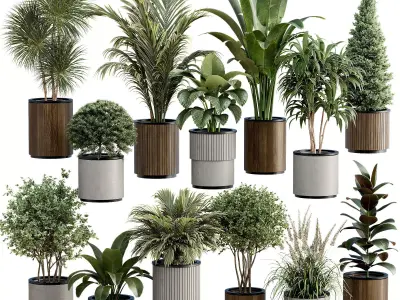 13 High Quality 3D Pot plants 3D model