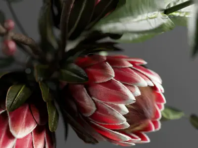 Bouquet of flowers with protea and eucalypt 3D model