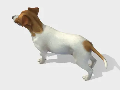 Dog - Jack Russell Terrier Low-poly 3D model