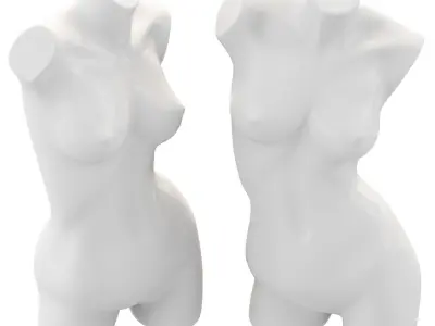 Female Mannequin Torso 3D model