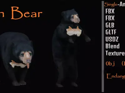 Sun Bear Low-poly 3D model