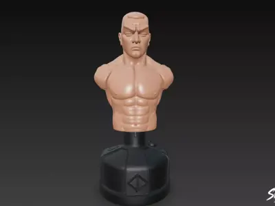 Flesh Punching Dummy Low-poly 3D model