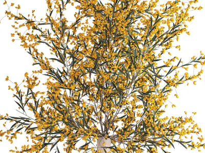Bouquet of branches with yellow berries in a vase 96 3D model