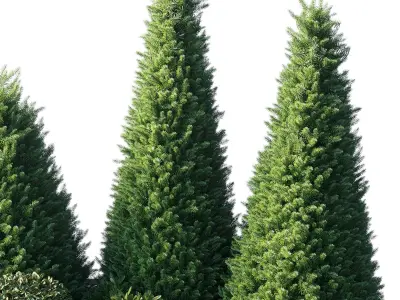 Alpine Hill 08 corona Low-poly 3D model