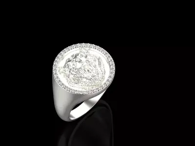 Bear ring full inside 3D print model