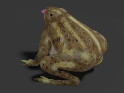 toad 3d frog Low-poly 3D model