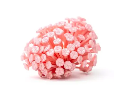 Soft Pink Floral model pack Low-poly 3D model