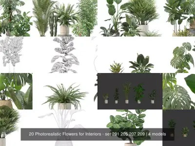 20 Photorealistic Flowers for Interiors - set 201 205 207 209 3D Model Collection