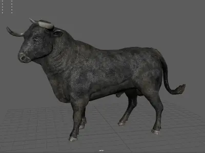 Spanish Fighting Bull Low-poly 3D model