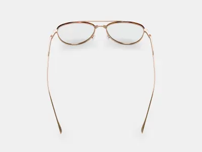 Sanaa Eyeglasses in Polished Gold with Oak Barrel 3D model