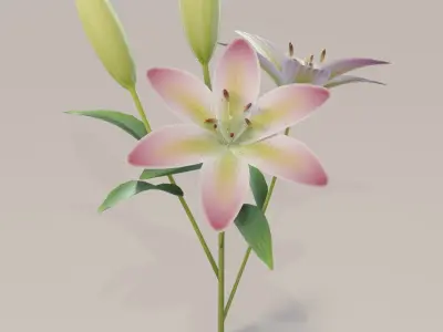 Lily 3D Model Low-poly 3D model