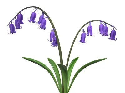 Blue Bell flower 3D model