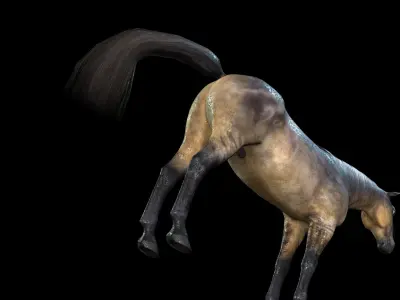 Thoroughbred Arabian Horse WILD WORLD PONY 5 Low-poly 3D model