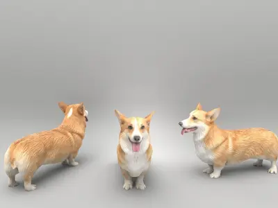 Corgi dog 39 Low-poly 3D model