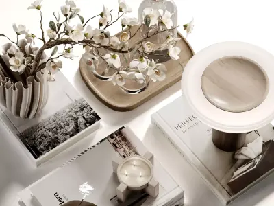 Decorative Set 44 3D model