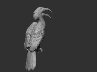 Hornbill 3D print model