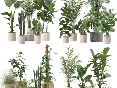 20 Photorealistic Flowers for Interiors - set 201 202 203 204 3D Model Collection