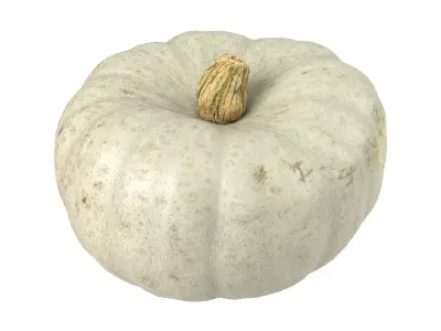 Photorealistic Kabocha Squash 3D Scan 1 3D model