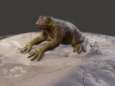 Frog creature Low-poly 3D model purchase