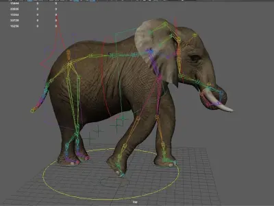 Elephant  Animation Low-poly 3D model