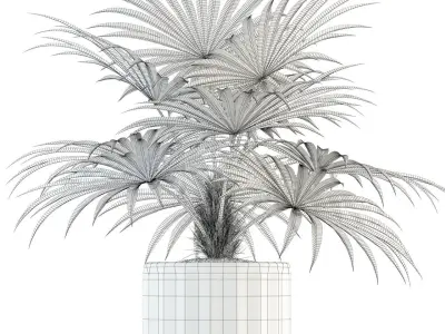 Plants collection 94 3D model