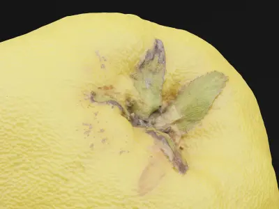 Yellow Pear Fruit 3D model