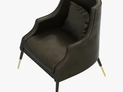 Delightfull ELIS ARMCHAIR 3D model