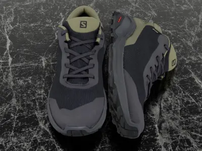 SALOMON 3D SHOES - XREVEAL - BLACK - GREEN Low-poly 3D model