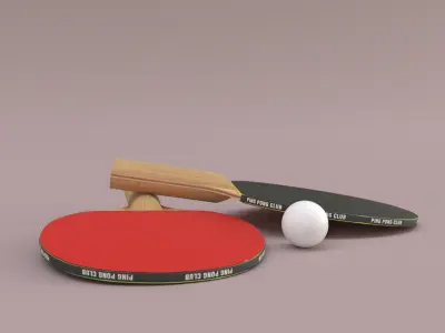Ping Pong Paddle Free low-poly 3D model