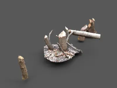 Beaver bitten willow tree stumps pack 3D model