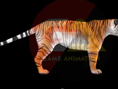 Sabre-toothed Tiger  textures  3D model