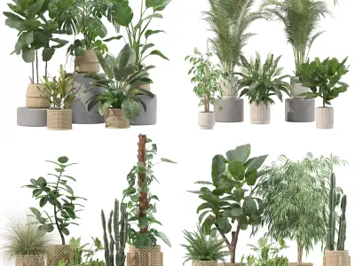 20 Photorealistic Flowers for Interiors - set 203 209 213 219 3D Model Collection