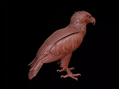 Eagle Animal Sculpture 3D print model get