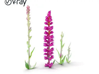 Vibrant Pink Flower Model Pack for D Environments and Games Low-poly 3D model