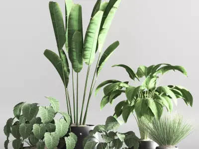 indoor plant collection set vol 66 3D model