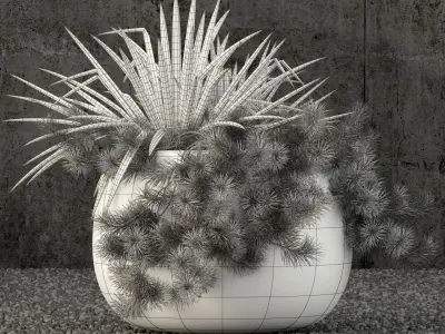 Plants collection 57 3D model