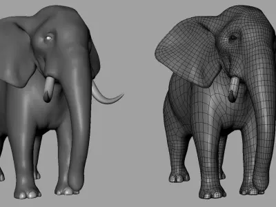 Elephant Model Low-poly 3D model
