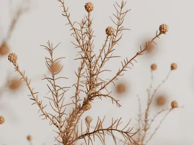 plants bouquet vase 42 3D model