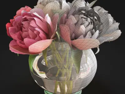 Flowers Peonies  3D model