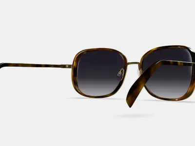Fernanda Sunglasses in Cognac Tortoise with Polished Gold 3D model